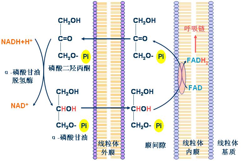 无标题文档