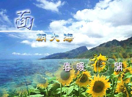 海子面朝大海春暖花开全文_面朝大海春暖花开读书笔记800字